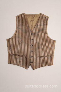Veste VV-21 attēls