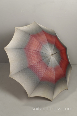 Umbrella LI-2 image