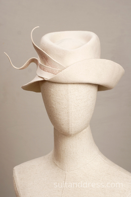 HAT SCP-45 image