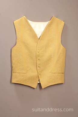 Veste VV-17 attēls
