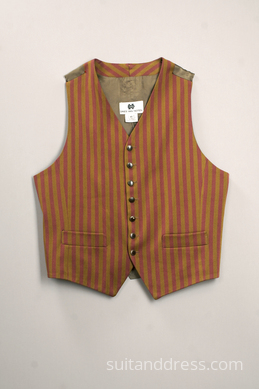 Veste VV-20 attēls